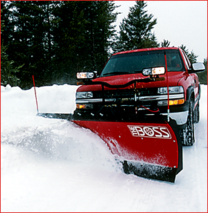 snow plowing form